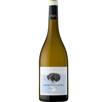 Valdelagunde Sauvignon Blanc