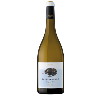 Valdelagunde Sauvignon Blanc