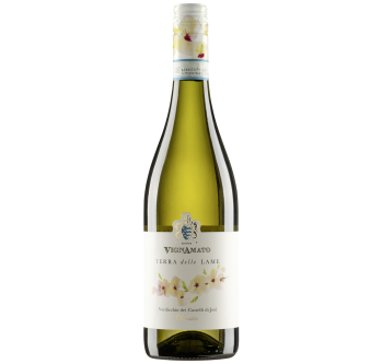 Terra delle Lame DOC Verdicchio dei Castelli di Jesi Classico