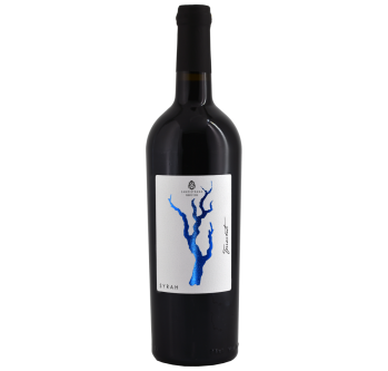 Terraventi Syrah 