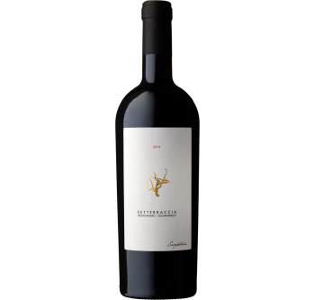 Settebraccia Rosso