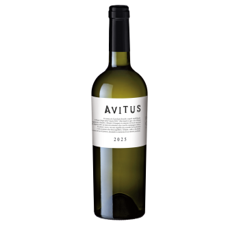 Avitus Pinot Grigio