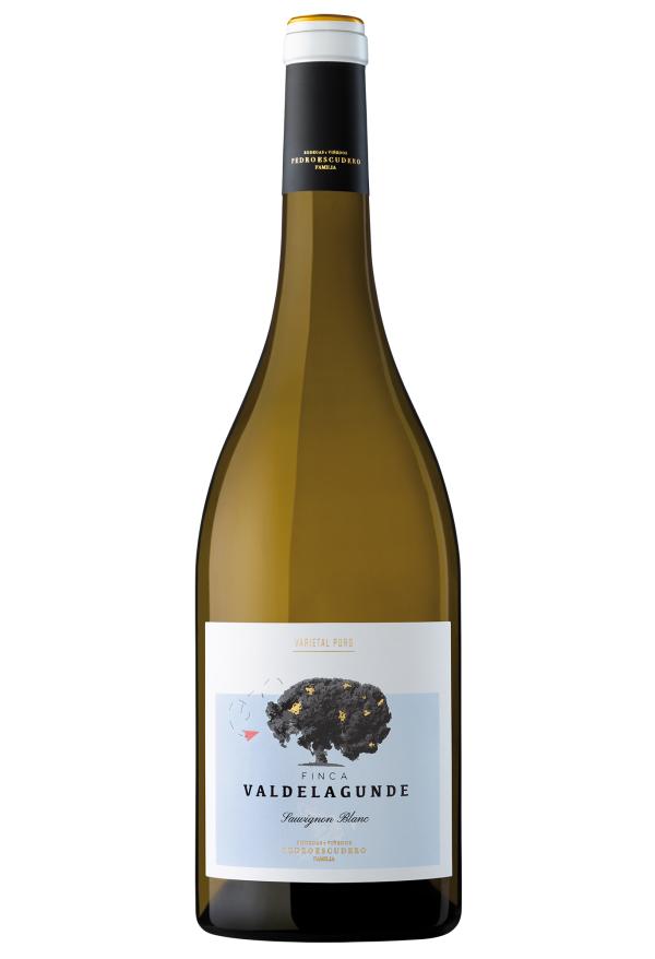 Valdelagunde Sauvignon Blanc