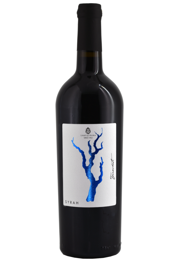 Terraventi Syrah