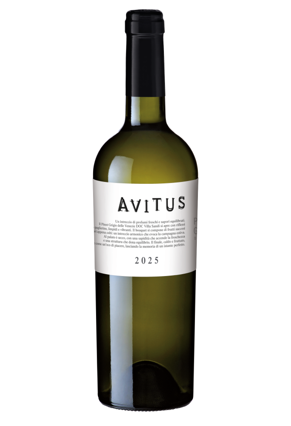 Avitus Pinot Grigio